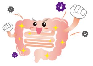 ＜超加工食品 ( NOVA４ )＞超加工食品の影響を減らす栄養戦略 ( 分子生物学的解釈つき )